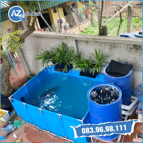 Chậu Nuôi Cá Koi Chậu Nuôi Cá Koi