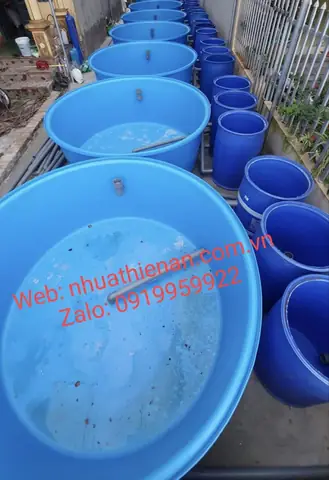 Chậu Nuôi Cá Koi Chậu Nuôi Cá Koi