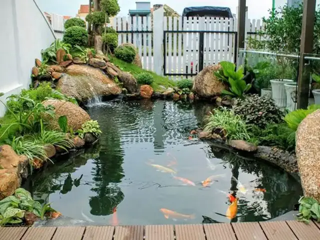 Chi Phí Làm Hồ Cá Koi