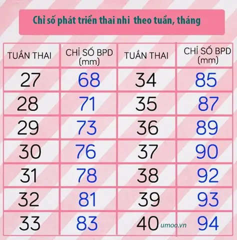 Chỉ Số Thai Nhi 33 Tuần 4 Ngày Chỉ Số Thai Nhi 33 Tuần 4 Ngày