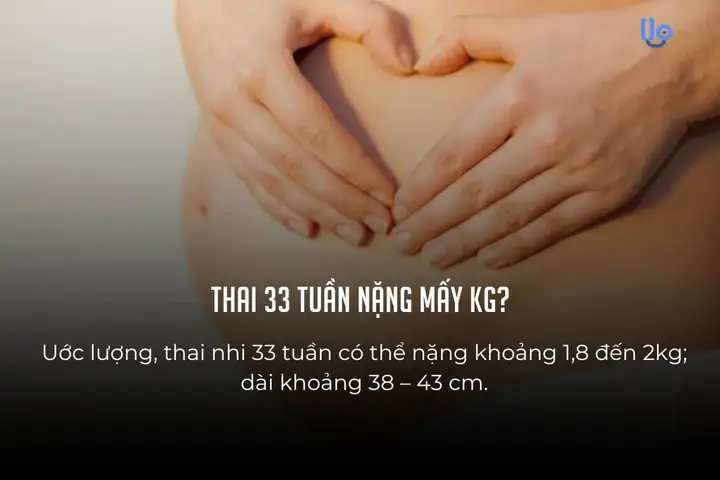 Chỉ Số Thai Nhi 33 Tuần 4 Ngày Chỉ Số Thai Nhi 33 Tuần 4 Ngày