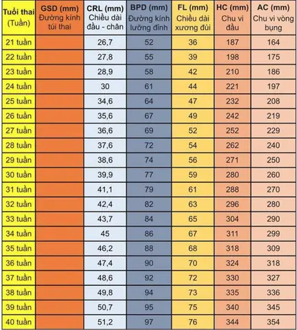 Chỉ Số Thai Nhi 33 Tuần 4 Ngày Chỉ Số Thai Nhi 33 Tuần 4 Ngày