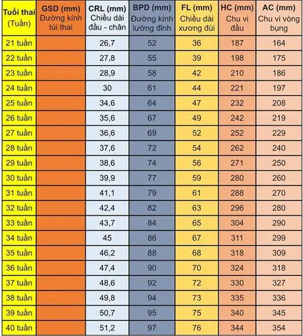 Chỉ Số Thai Nhi 33 Tuần 4 Ngày Chỉ Số Thai Nhi 33 Tuần 4 Ngày