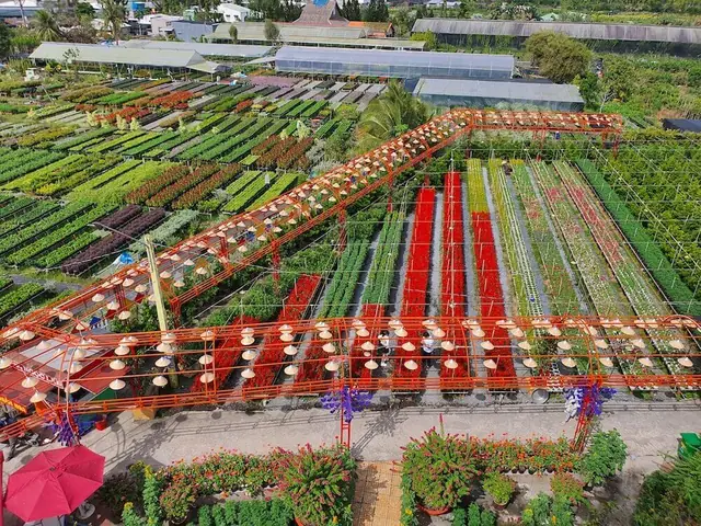 Chợ Hoa Sa Đéc Chợ Hoa Sa Đéc