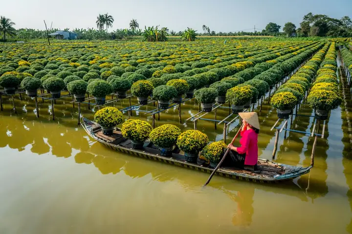 Chợ Hoa Sa Đéc Chợ Hoa Sa Đéc