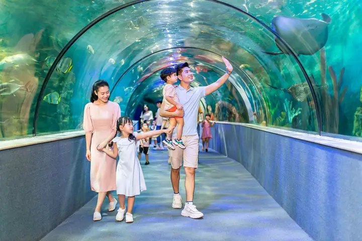 Cho Trẻ Em Đi Chơi Ở Đâu Hà Nội Cho Trẻ Em Đi Chơi Ở Đâu Hà Nội