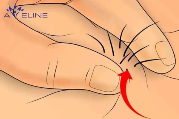 Có Lông Đít Tướng Số Có Lông Đít Tướng Số