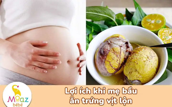 Có Nên Ăn Trứng Vịt Lộn Khi Mang Thai Có Nên Ăn Trứng Vịt Lộn Khi Mang Thai