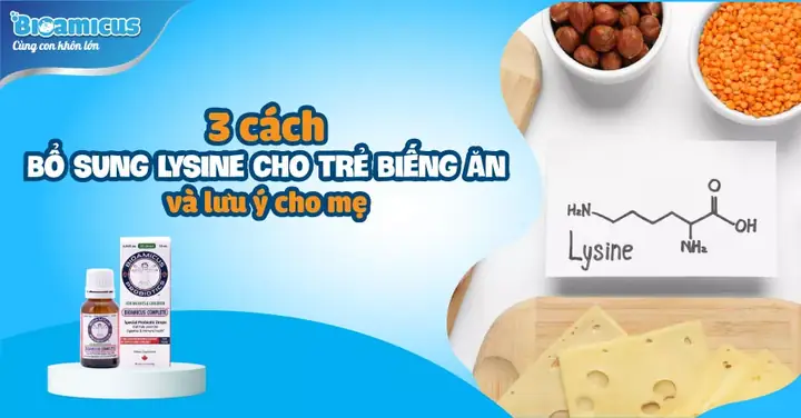 Có Nên Bổ Sung Lysine Cho Bé Có Nên Bổ Sung Lysine Cho Bé