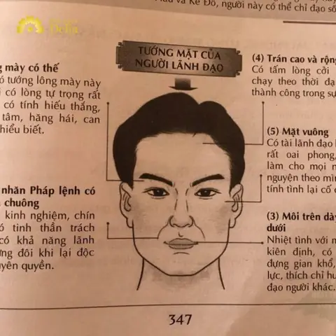 Coi Tướng Số Khuôn Mặt Coi Tướng Số Khuôn Mặt