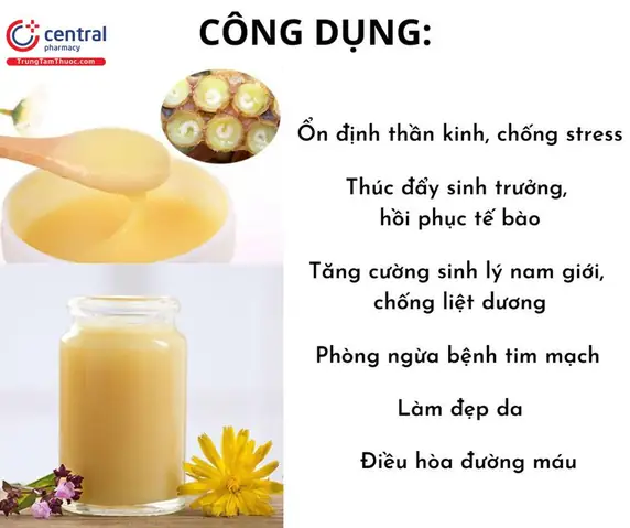Công Dụng Của Sữa Ong Chúa Với Da Công Dụng Của Sữa Ong Chúa Với Da