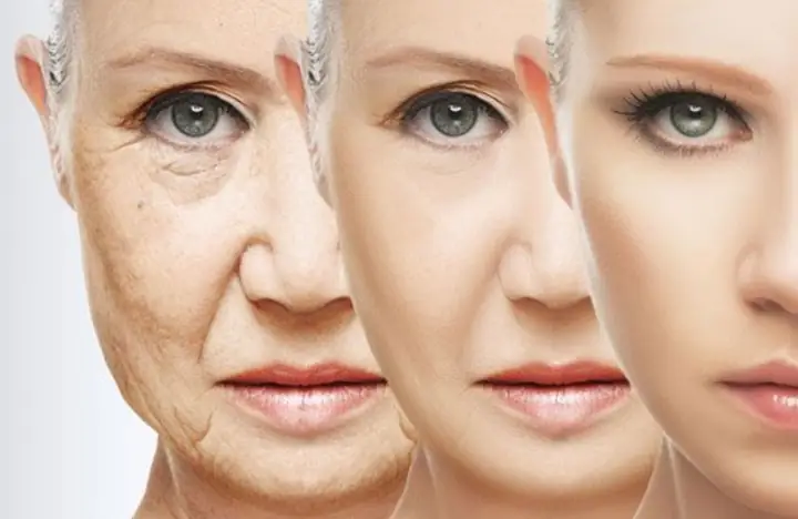 Công Dụng Của Sữa Ong Chúa Với Da Công Dụng Của Sữa Ong Chúa Với Da