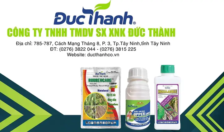 Công Ty Đức Thành Công Ty Đức Thành
