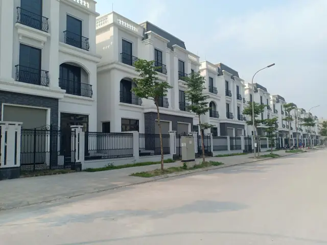 Đại Kim Hoàng Mai Đại Kim Hoàng Mai