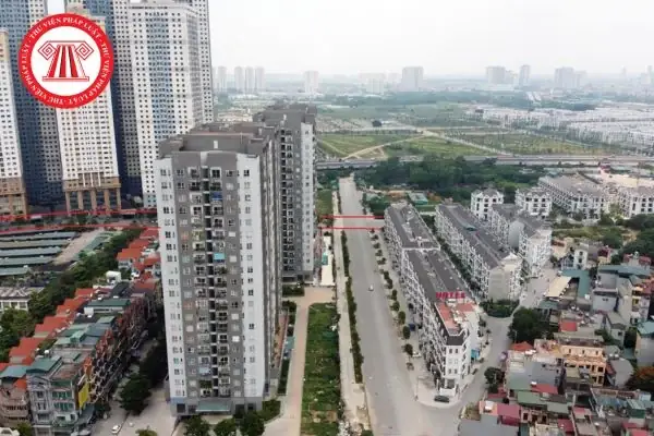 Đại Kim Hoàng Mai Đại Kim Hoàng Mai