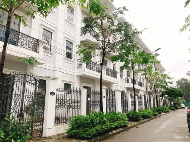 Đại Kim Hoàng Mai Đại Kim Hoàng Mai