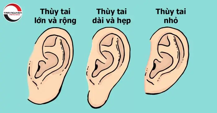 Dái Tai Tướng Số Dái Tai Tướng Số