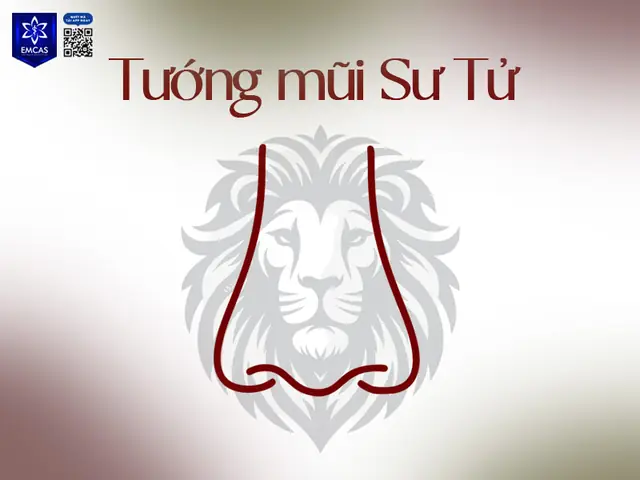 Đàn Bà Lỗ Mũi To Tướng Số Đàn Bà Lỗ Mũi To Tướng Số