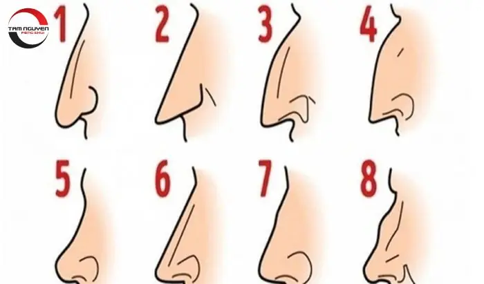 Đầu Mũi To Cánh Mũi Nhỏ Tướng Số Đầu Mũi To Cánh Mũi Nhỏ Tướng Số