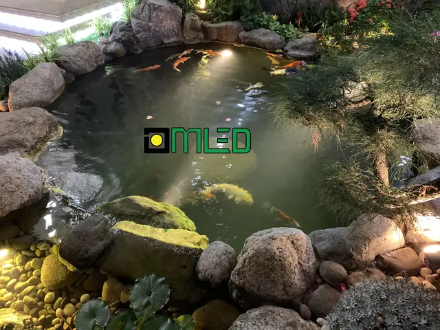 Đèn Hồ Cá Koi Đèn Hồ Cá Koi