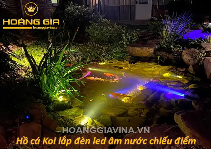 Đèn Hồ Cá Koi Đèn Hồ Cá Koi