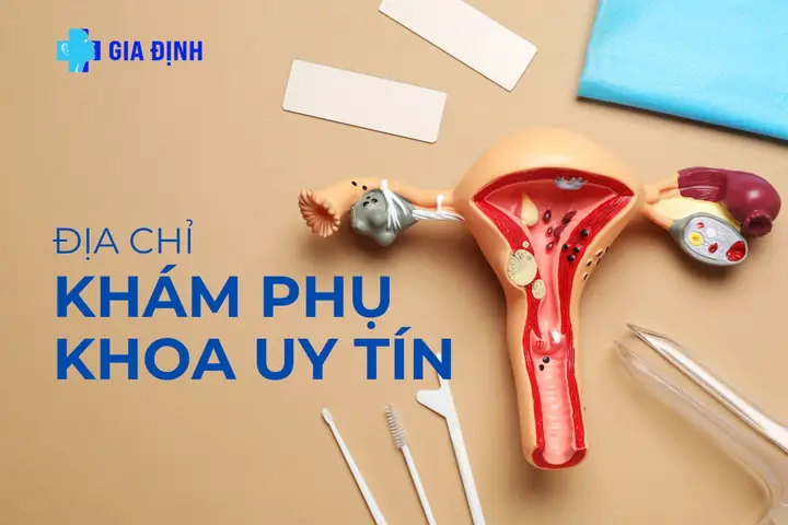Địa Chỉ Khám Phụ Khoa Ở Tphcm Địa Chỉ Khám Phụ Khoa Ở Tphcm