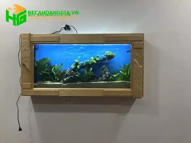 Độ Sâu Bể Cá Koi Độ Sâu Bể Cá Koi