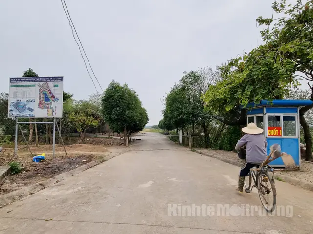 Đồng Mai Hà Đông Đồng Mai Hà Đông