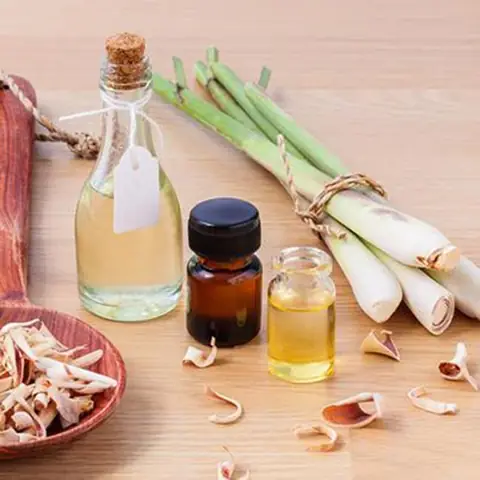 Đuổi Muỗi Bằng Cách Tự Nhiên
