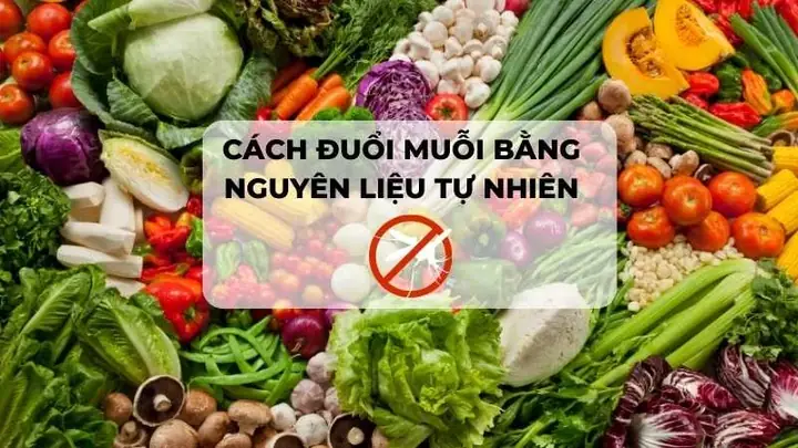Đuổi Muỗi Bằng Cách Tự Nhiên