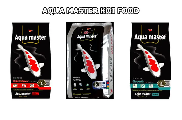 Giá Cá Koi Đà Nẵng Giá Cá Koi Đà Nẵng