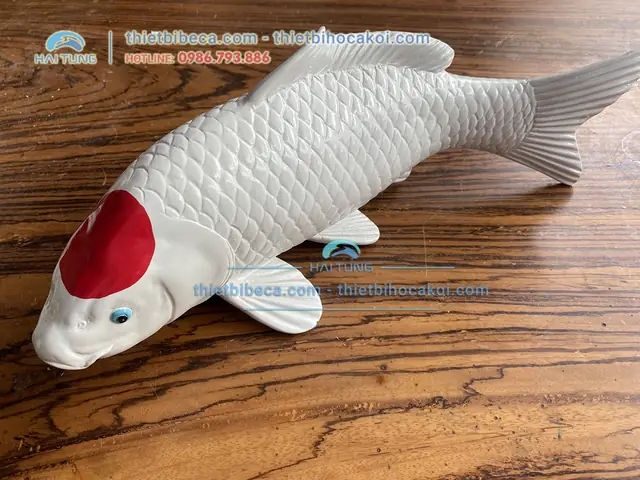 Giá Cá Koi Tancho Giá Cá Koi Tancho