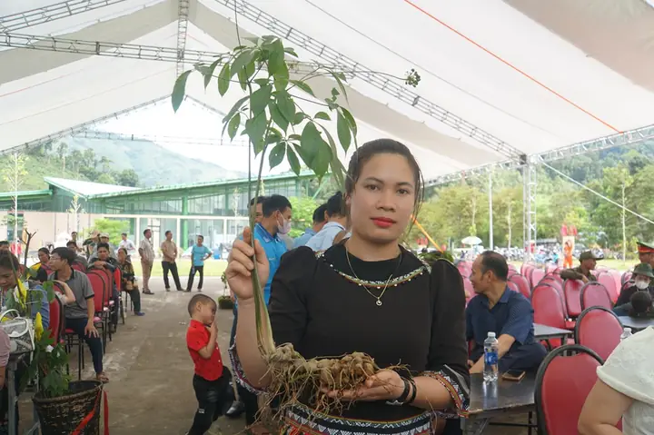 Giá Ngọc Thẩm Ở Trà Vinh Giá Ngọc Thẩm Ở Trà Vinh