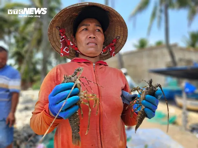 Giá Sjc Ở Phú Yên