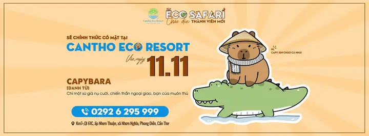 Giá Vàng 999 Ở Cần Thơ Giá Vàng 999 Ở Cần Thơ