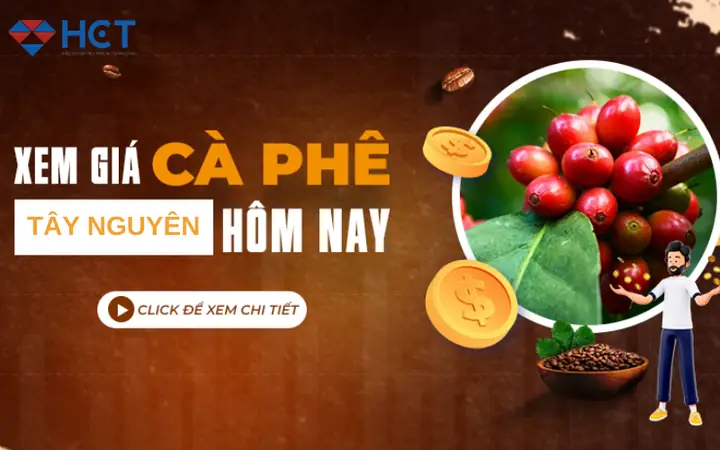 Giá Vàng 999 Ở Tây Nguyên Giá Vàng 999 Ở Tây Nguyên
