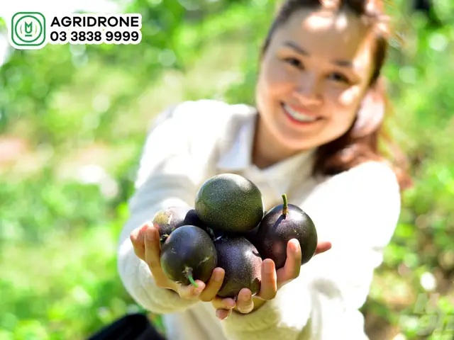 Giá Vàng 9999 Hôm Nay Tại Đăk Nông Giá Vàng 9999 Hôm Nay Tại Đăk Nông