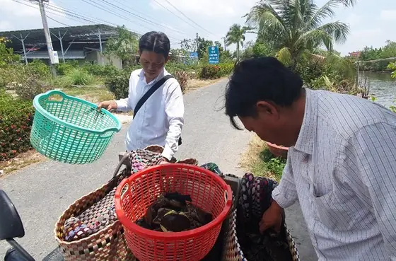Giá Vàng 9999 Ở Kiên Giang Giá Vàng 9999 Ở Kiên Giang