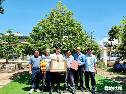 Giá Vàng 9999 Ở Kiên Giang Giá Vàng 9999 Ở Kiên Giang