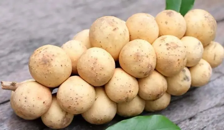 Giá Vàng Bòn Huế Giá Vàng Bòn Huế