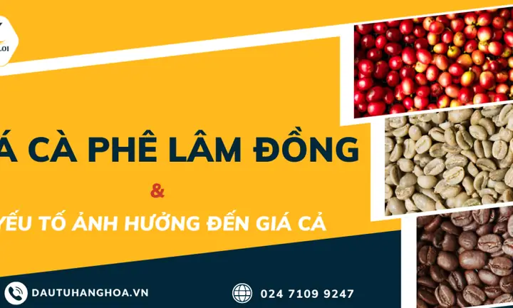 Giá Vàng Lâm Đồng Hôm Nay Giá Vàng Lâm Đồng Hôm Nay