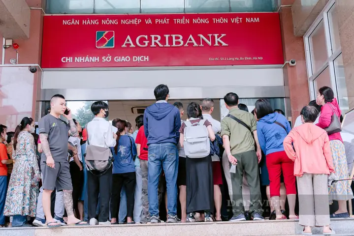 Giá Vàng Ngân Hàng Nông Nghiệp Hôm Nay Giá Vàng Ngân Hàng Nông Nghiệp Hôm Nay