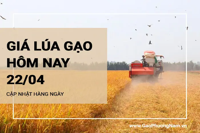 Giá Vàng Ngân Hàng Nông Nghiệp Hôm Nay Giá Vàng Ngân Hàng Nông Nghiệp Hôm Nay