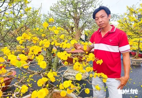Giá Vàng Ở Rạch Giá Giá Vàng Ở Rạch Giá