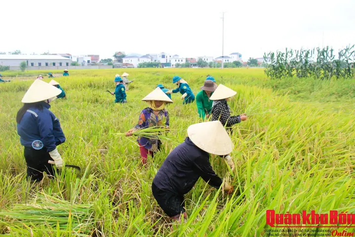 Giá Vàng Quỳnh Lưu Nghệ An Giá Vàng Quỳnh Lưu Nghệ An