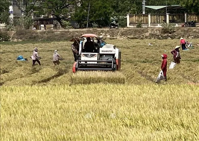 Giá Vàng Thu Được Ninh Thuận Giá Vàng Thu Được Ninh Thuận
