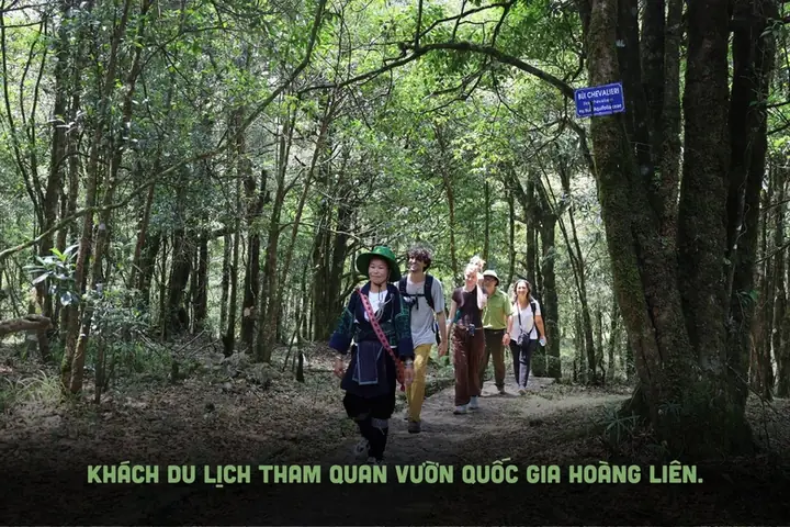 Giá Vàng Ý Ở Lào Cai Giá Vàng Ý Ở Lào Cai