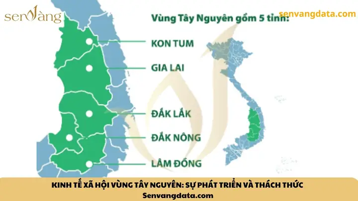 Giá Vàng Ý Ở Tây Nguyên Giá Vàng Ý Ở Tây Nguyên