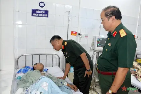 Hạ Đình Trong Tướng Số Hạ Đình Trong Tướng Số