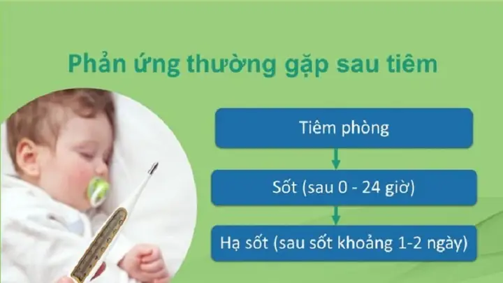 Hạ Sốt Cho Trẻ Sơ Sinh Khi Tiêm Phòng Hạ Sốt Cho Trẻ Sơ Sinh Khi Tiêm Phòng